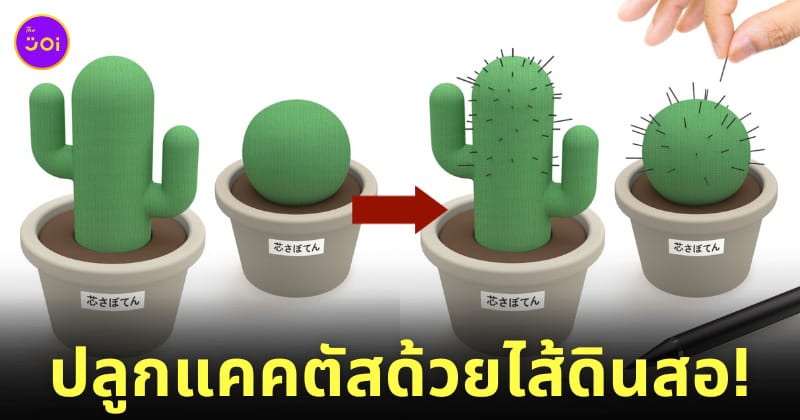 แคคตัสไส้ดินสอกด