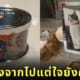 ลูกสาวขอเงินพ่อไปสุ่มกาชาปองอาหารแมว ให้เจ้าเหมียวที่กลับดาวแมวไปแล้ว