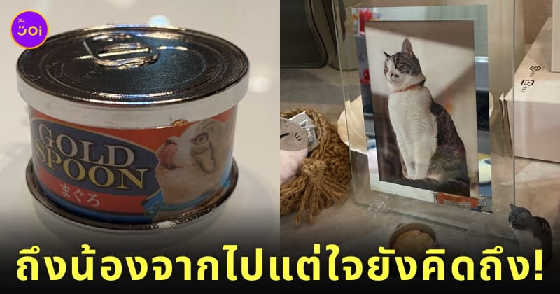ลูกสาวขอเงินพ่อไปสุ่มกาชาปองอาหารแมว ให้เจ้าเหมียวที่กลับดาวแมวไปแล้ว