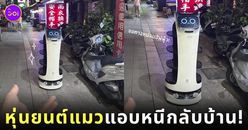 หุ่นยนต์น้องแมวเสิร์ฟอาหาร หนีกลับบ้าน