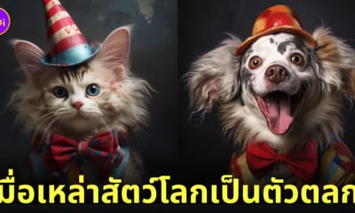 ภาพสัตว์โลก ตัวตลก aiart