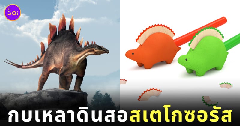 กบเหลาดินสอ ไดโนเสาร์ สเตโกซอรัส