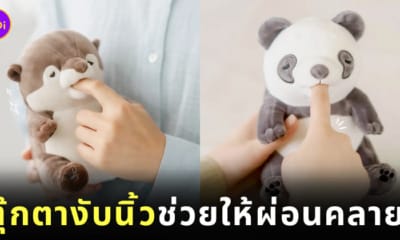 ตุ๊กตางับนิ้ว AMAGAMI HAM HAM