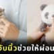 ตุ๊กตางับนิ้ว AMAGAMI HAM HAM