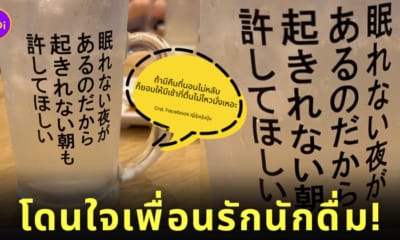 คำคมสุดโดนบนแก้วสายดื่ม นักดื่ม ร้านอาหารญี่ปุ่น