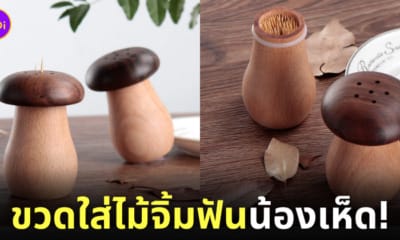 ขวดใส่ไม้จิ้มฟันรูปเห็ด