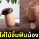 ขวดใส่ไม้จิ้มฟันรูปเห็ด