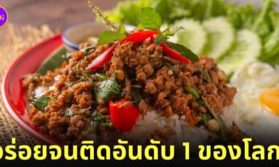 ผัดกะเพรา แชมป์อันดับที่ 1 เมนูผัดที่ดีที่สุดในโลก TasteAtlas