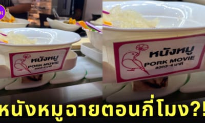 ป้ายเมนูชาบูหม่าล่า ภาษาอังกฤษ หนังหมู Pork Movie