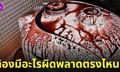 riceberryincooker