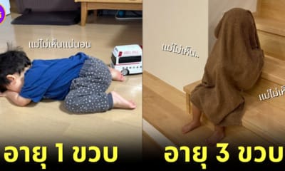 คุณแม่ชาวญี่ปุ่นแชร์ภาพลูกชายเล่นซ่อนแอบกลายเป็นไวรัล