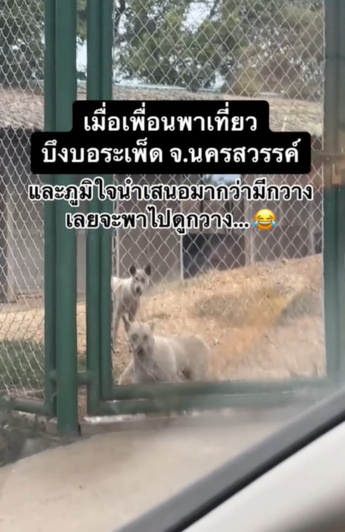 บึงบอระเพ็ด 3