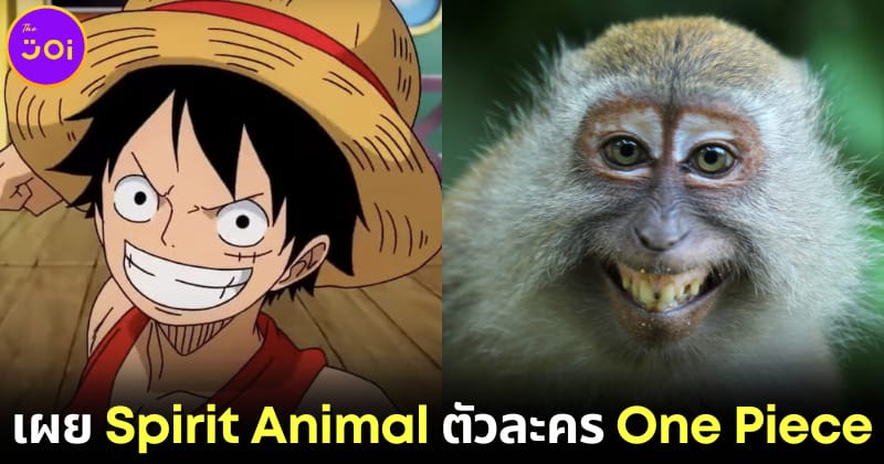 ปก 10 spirit animal ของ ตัวละคร one piece