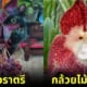 ปก 30 ดอกไม้แปลกที่สวยราวกับหลุดออกมาจากโลกแฟนตาซี