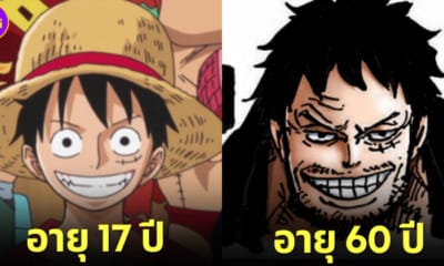 ปก 9 ตัวละคร one piece ตอนแก่ อายุ 40 และ 60