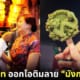 ปก pop icon ไอติมลายมังกร สิงโต เยาวราช