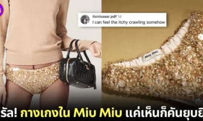 ปก กกน. miu miu