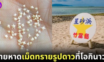 ปก ชายหาดเม็ดทรายปลาดาวในญี่ปุ่น