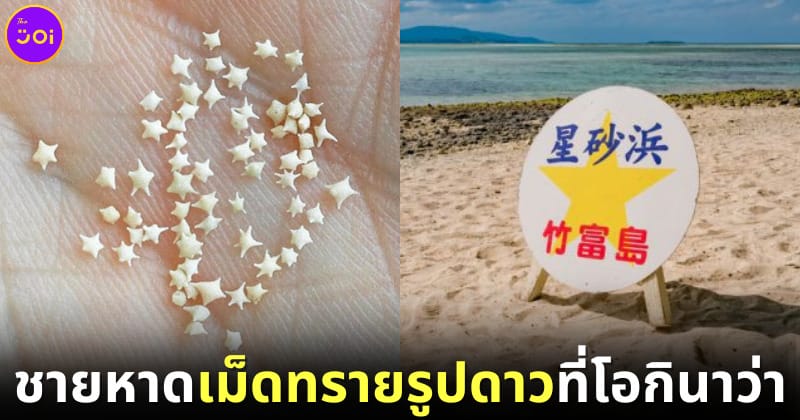 ปก ชายหาดเม็ดทรายปลาดาวในญี่ปุ่น