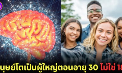 ปก นักประสาทวิทยาเผยคนกลายเป็นผู้ใหญ่ตอนอายุ 30
