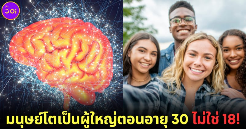 ปก นักประสาทวิทยาเผยคนกลายเป็นผู้ใหญ่ตอนอายุ 30