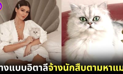 ปก นางแบบสาวอิตาลีจ้างนักสืบตามหาแมวหาย