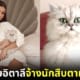 ปก นางแบบสาวอิตาลีจ้างนักสืบตามหาแมวหาย
