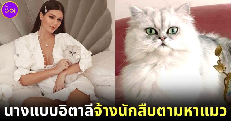 ปก นางแบบสาวอิตาลีจ้างนักสืบตามหาแมวหาย