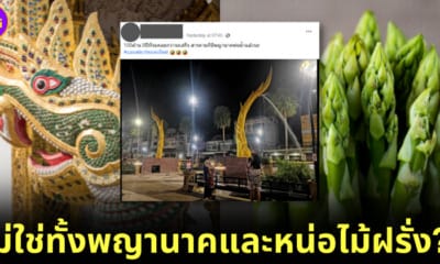 ปก พญานาคพ่นน้ำ มหาสารคาม ศิลปะแบบไทยร่วมสมัย