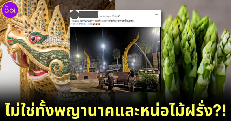 ปก พญานาคพ่นน้ำ มหาสารคาม ศิลปะแบบไทยร่วมสมัย
