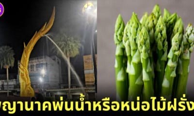 ปก พญานาคพ่นน้ำเหมือนหน่อไม้ฝรั่ง