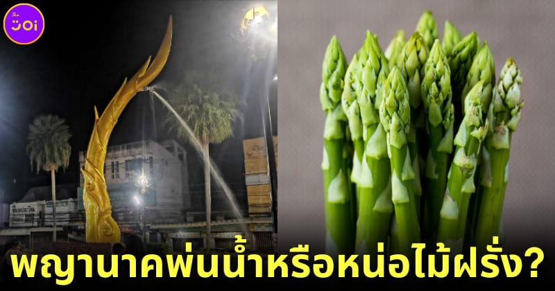 ปก พญานาคพ่นน้ำเหมือนหน่อไม้ฝรั่ง