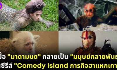 ปก มาดามมด สัตว์ comedy island