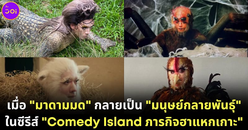 ปก มาดามมด สัตว์ comedy island