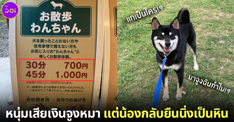 ปก รีวิวเช่าหมาชิบะอินุ