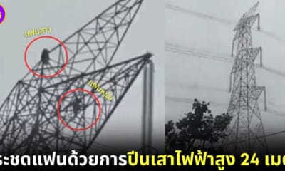ปก สาวอินเดียปีนเสาไฟฟ้าประชดแฟนหนุ่ม