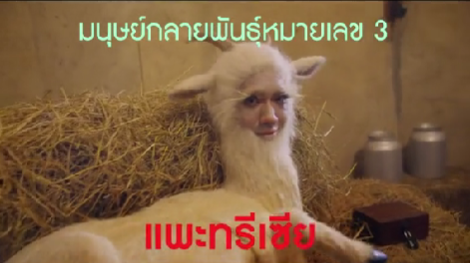 แพะทรีเซีย
