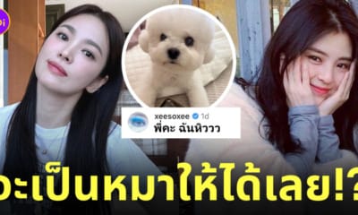 ฮันโซฮี อยากเป็นหมาซงฮเยคโย คอมเมนต์ พี่คะ ฉันหิว