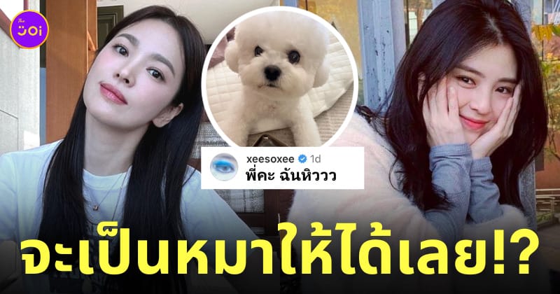 ฮันโซฮี อยากเป็นหมาซงฮเยคโย คอมเมนต์ พี่คะ ฉันหิว