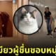 แมวสามสี ชอบหนุ่มแว่นข้างบ้าน