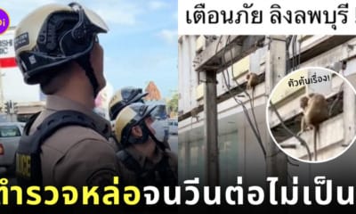 คลิปวีนลิงลพบุรี ตำรวจหล่อ TikTok
