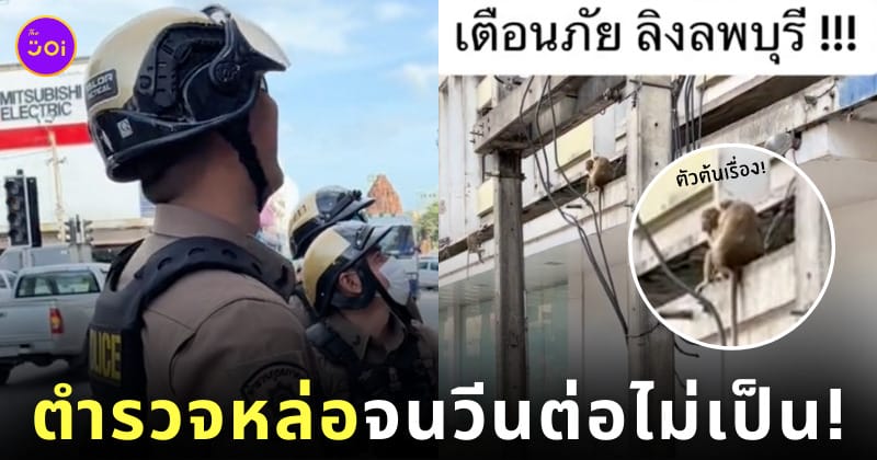 คลิปวีนลิงลพบุรี ตำรวจหล่อ TikTok