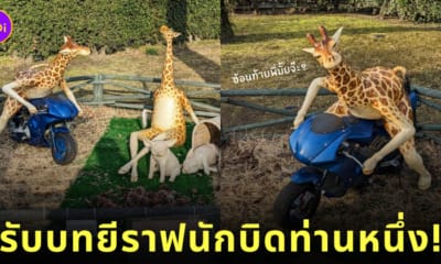 รูปปั้นยีราฟ สวนญี่ปุ่น สิงห์นักบิด