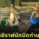 รูปปั้นยีราฟ สวนญี่ปุ่น สิงห์นักบิด