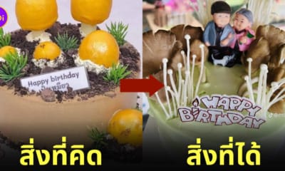 เค้กแบบเห็ด ๆ ที่กินได้ TikTok