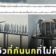 นก กกไข่ ทำรัง บนที่กันนก