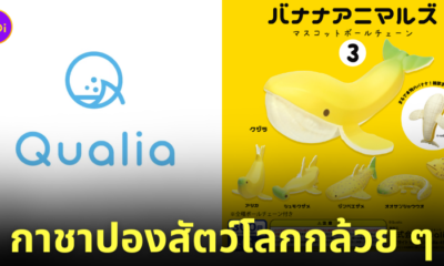 กาชาปอง Banana Animals สัตว์โลกกล้วย Qualia