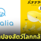 กาชาปอง Banana Animals สัตว์โลกกล้วย Qualia