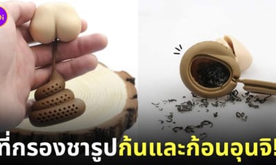 ที่กรองชารูปก้นและก้อนอุนจิ