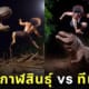เซ็ตภาพ AI หนุ่มกาฬสินธุ์ ทีเร็กซ์ Kalasin Man vs T-Rex